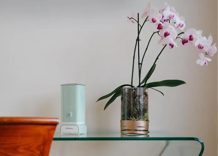 La Risacca Relais Frühstückspension Belvedere Marittimo